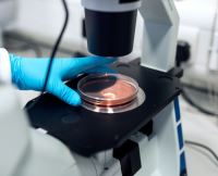 Lame si lamele microscop