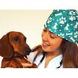 Boneta medicala veterinary 20824