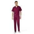 Pantaloni bărbătești Wonder PRO 5619 WINE