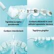 Irigator bucal PANASONIC EW1311G845, 3 viteze, 4 capete, 130ml, alb-albastru