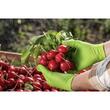 Mănuși nitril premium verzi, MERCATOR Gogrip Green, textură 3D, ultra-rezistente