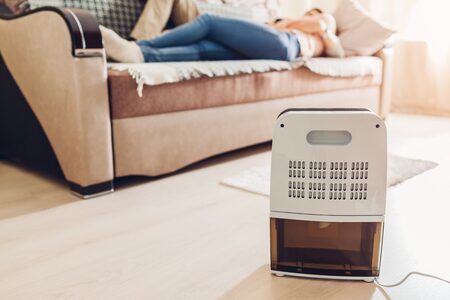 Umidificator sau dezumidificator? Află ce îți trebuie pentru un aer sănătos în locuință