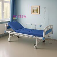 Pat spital mecanic pentru bolnavi cu doua manivele + Saltea inclusa