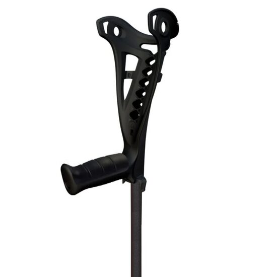 Carja ergodinamica Safe Walk ASW