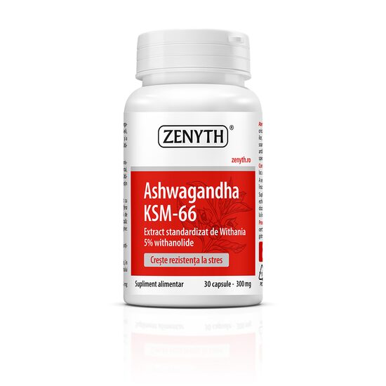 Ashwagandha KSM-66 300 mg, 30 caps