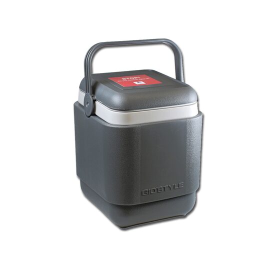 Food & Beverage Carriers Geanta transport vaccin 27211