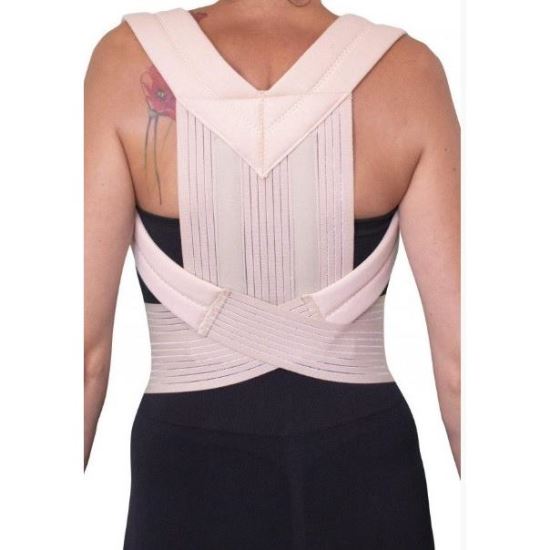 Ham de memorie ORTHO CARE NR6